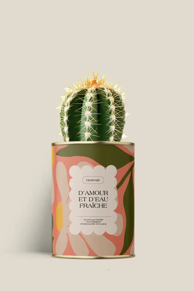 Cadeaux - D'amour et d'eau fraîche - Mini Cactus - DIAIWAIE