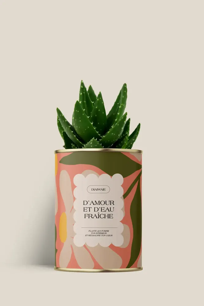 Gifts - D'amour et d'eau fraîche - Mini Aloé - DIAIWAIE