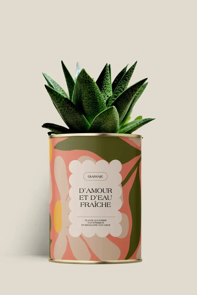 Gifts - D'amour et d'eau fraîche - Maxi aloé - DIAIWAIE