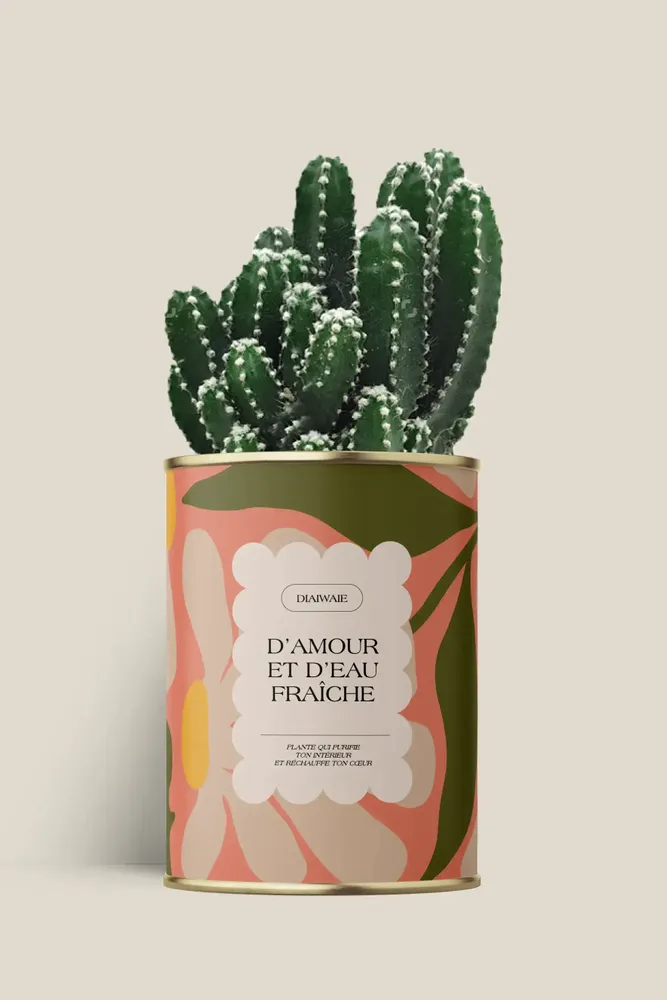 Gifts - D'amour et d'eau fraîche - Maxi Cactus - DIAIWAIE
