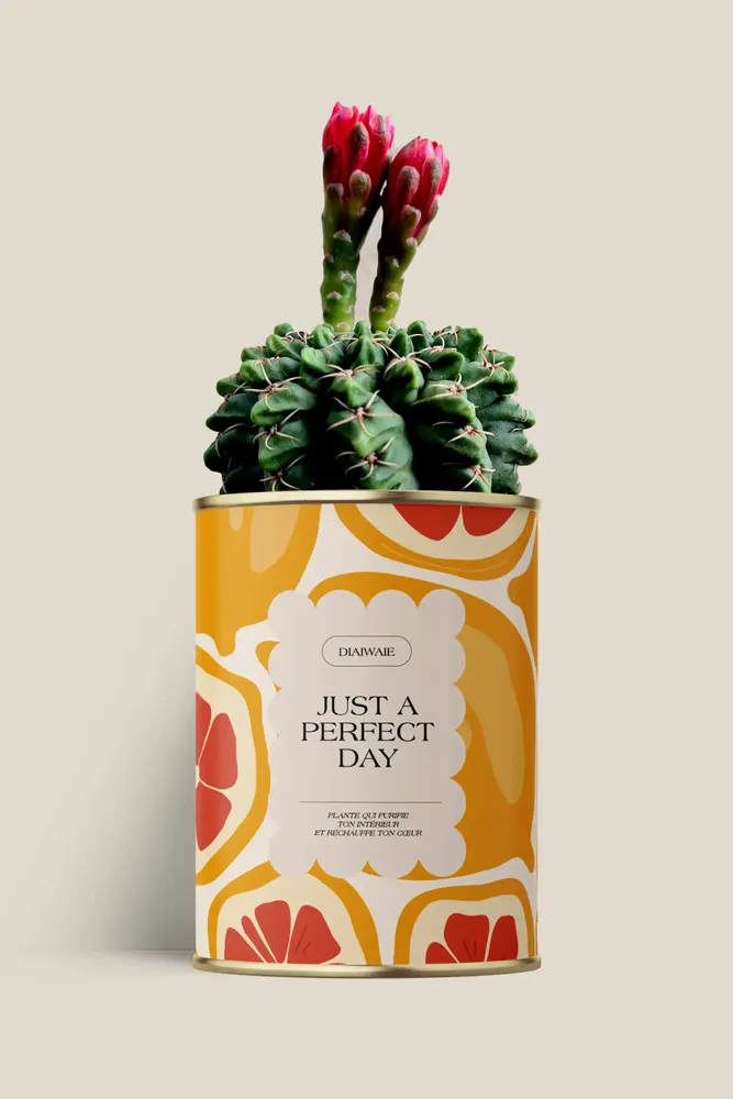 Floral decoration - Juste a perfect day - Maxi Cactus - DIAIWAIE