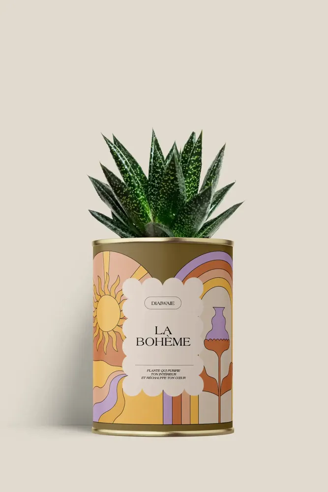 Gifts - La bohème - Mini Aloé - DIAIWAIE