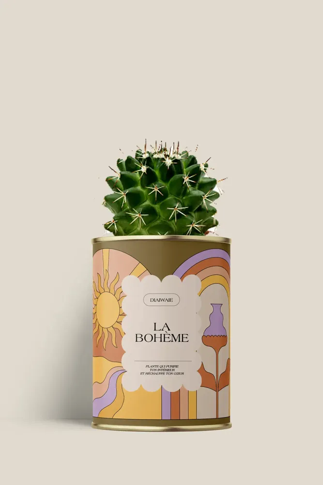 Cadeaux - La bohème - Mini Cactus - DIAIWAIE