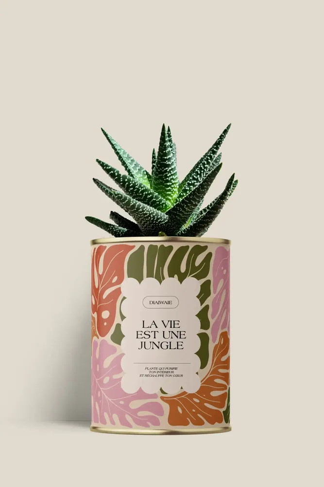 Cadeaux - La vie est une jungle - Mini Aloé - DIAIWAIE