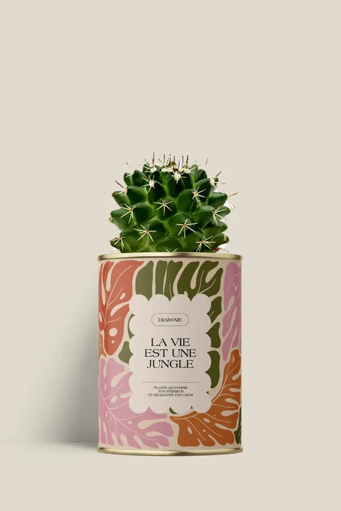 Cadeaux - La vie est une jungle - Mini Cactus - DIAIWAIE