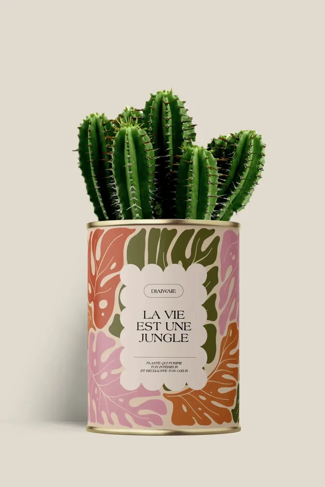 Gifts - La vie est une jungle - Maxi Cactus - DIAIWAIE