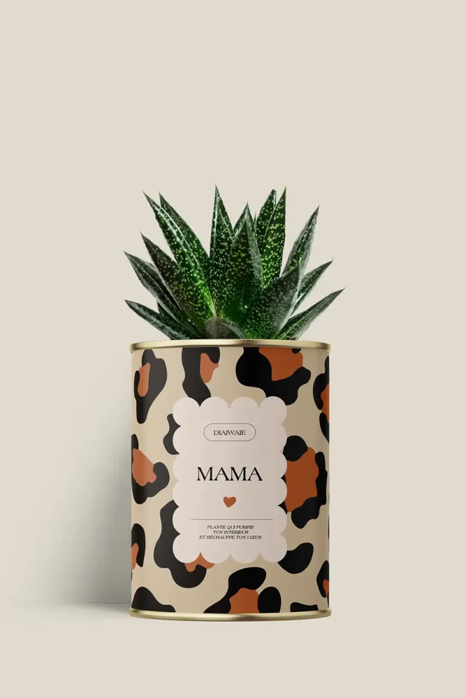 Gifts - Mama - Mini Aloé - DIAIWAIE