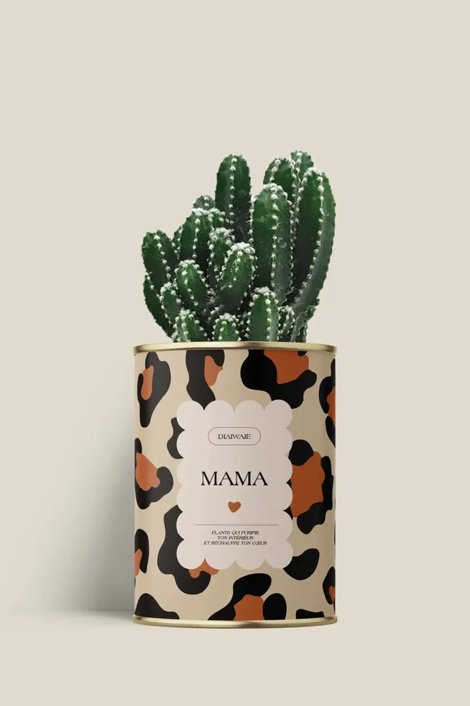 Gifts - Mama - Mini Cactus - DIAIWAIE