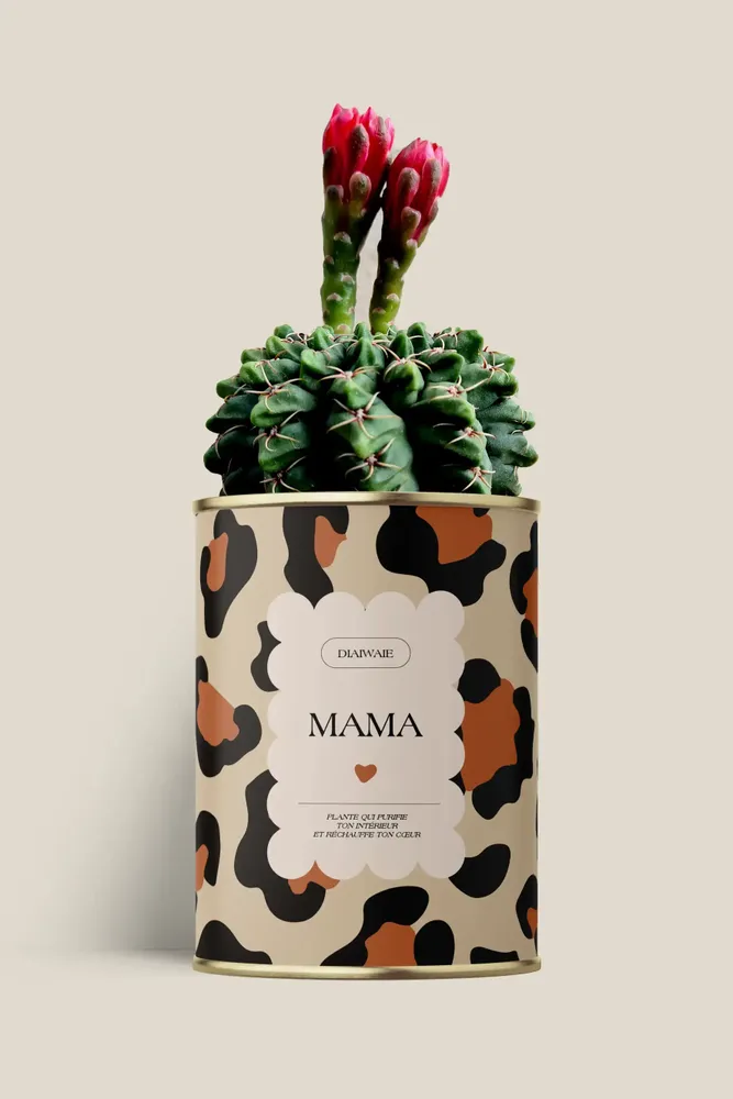 Gifts - Mama - Maxi Cactus - DIAIWAIE
