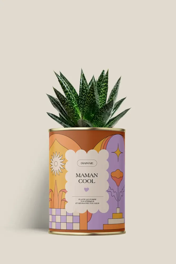 Gifts - Maman cool - Mini Aloé - DIAIWAIE