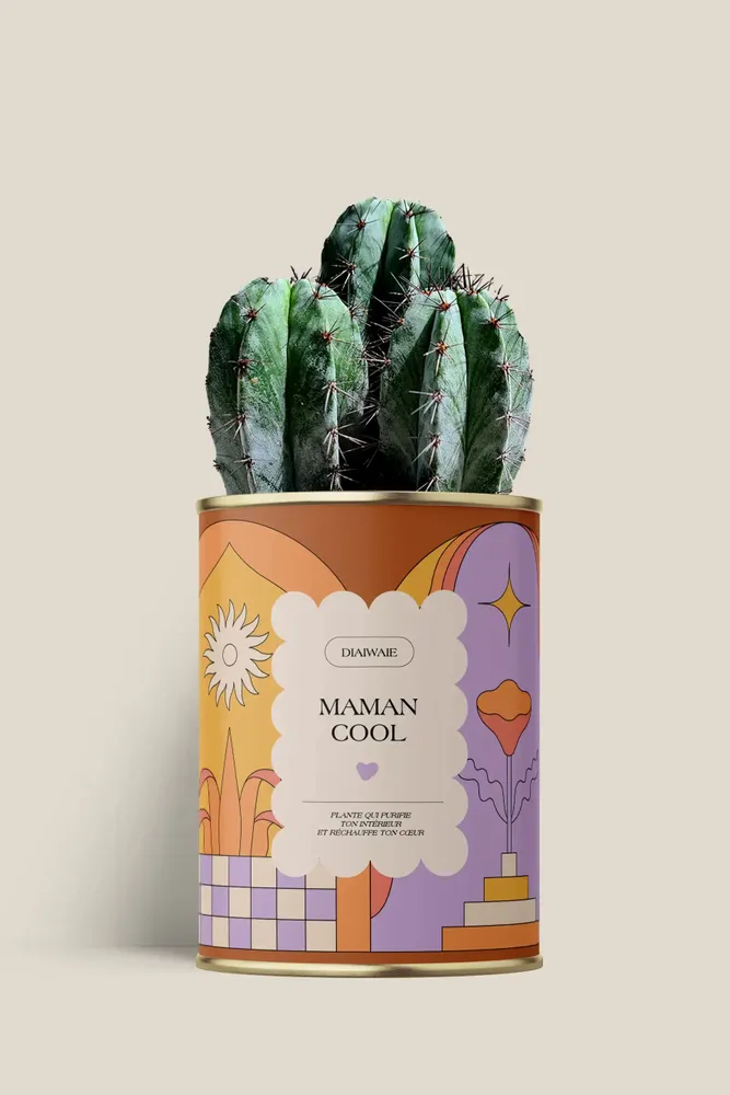 Gifts - Maman cool - Maxi Cactus - DIAIWAIE