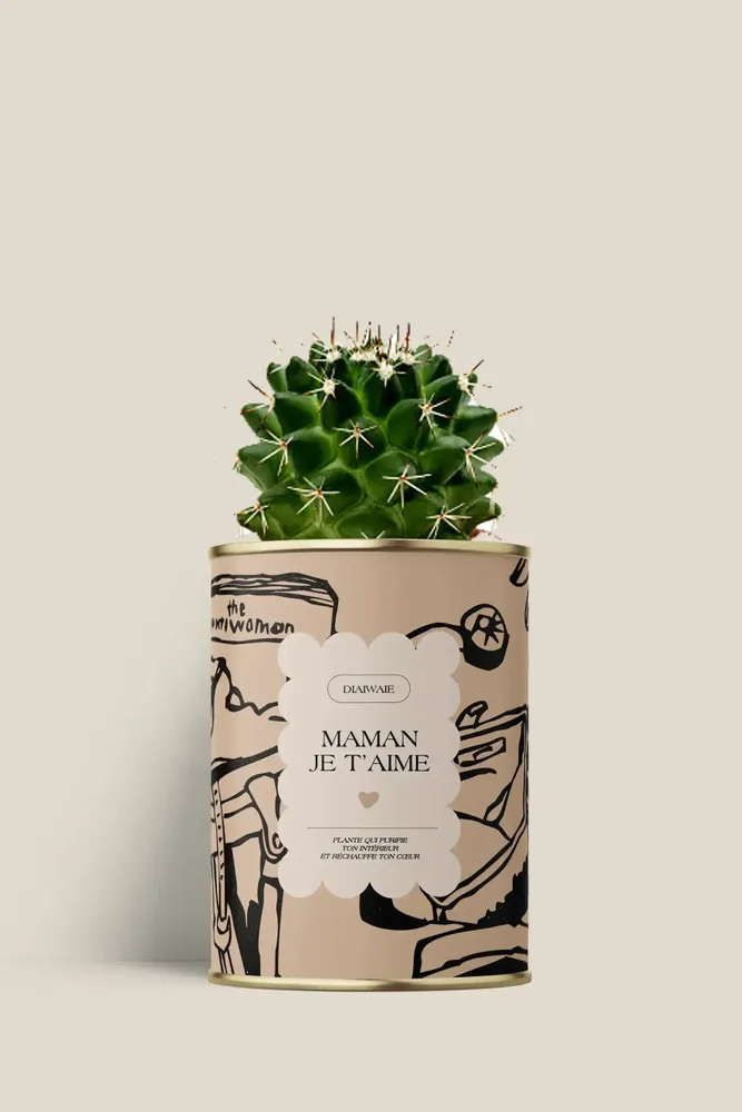 Gifts - Maman je t'aime - Mini Cactus - DIAIWAIE