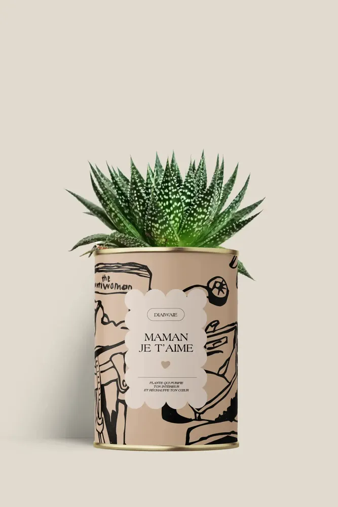 Cadeaux - Maman je t'aime - Mini Aloé - DIAIWAIE