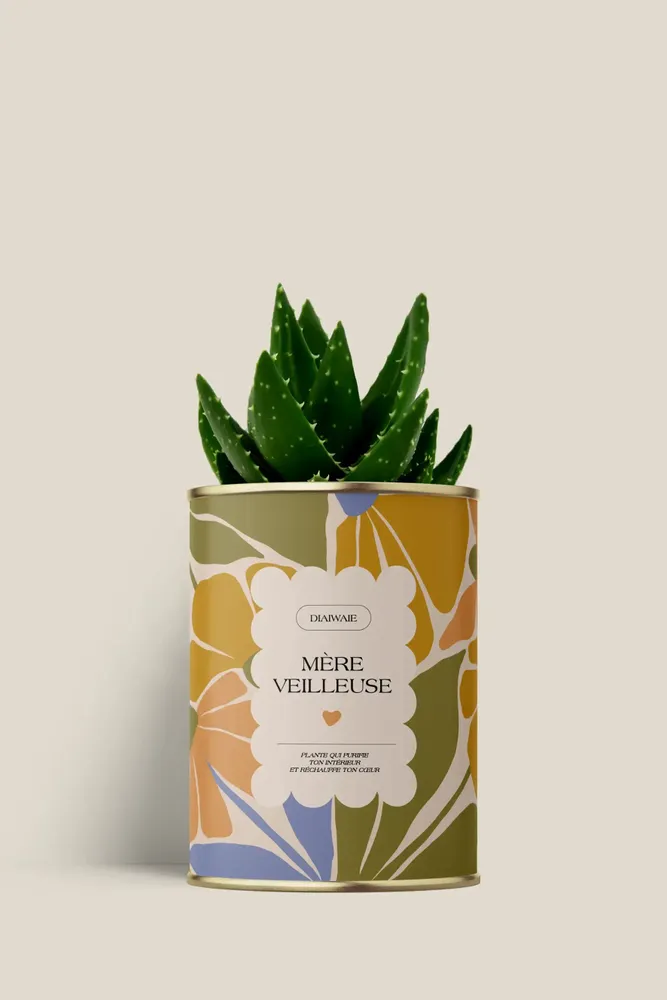 Gifts - Mére veilleuse - Mini Aloé - DIAIWAIE