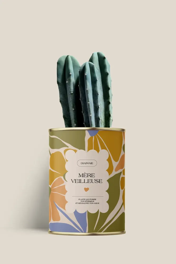 Gifts - Mére veilleuse - Mini Cactus - DIAIWAIE