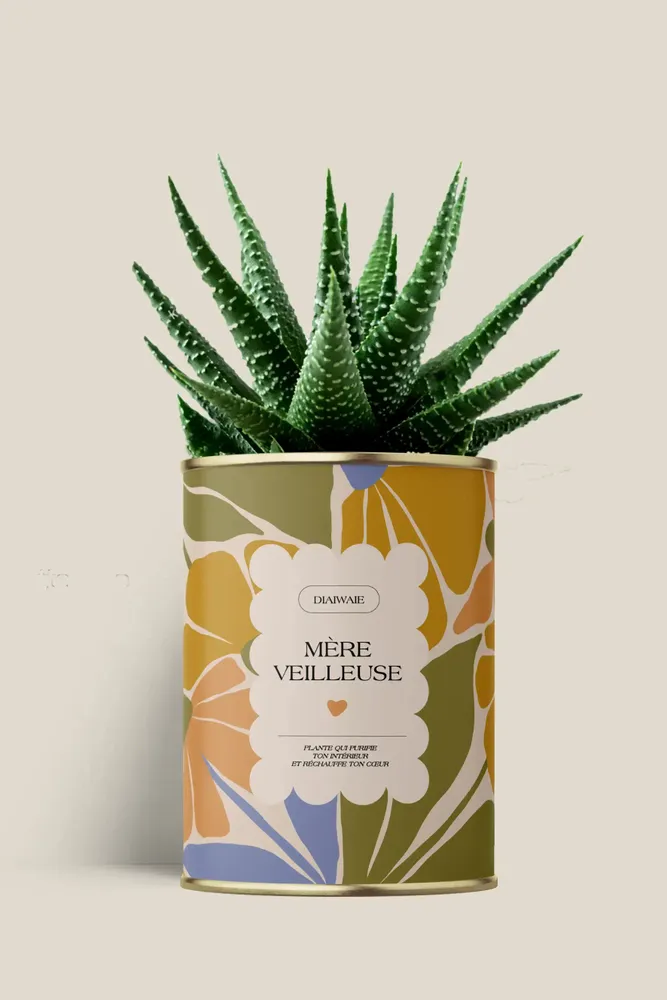 Cadeaux - Mére veilleuse - Maxi Aloé - DIAIWAIE