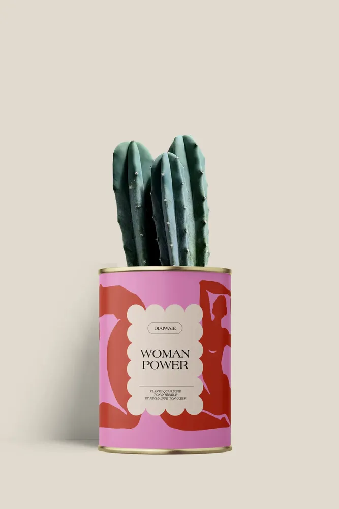 Gifts - Woman power - Mini Cactus - DIAIWAIE