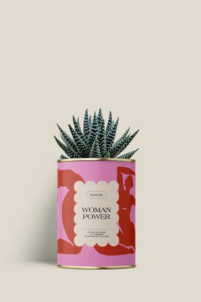 Gifts - Woman power - Mini Aloé - DIAIWAIE