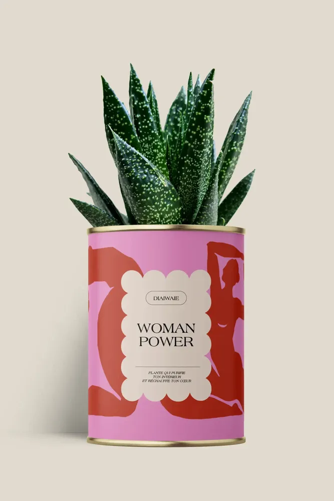 Gifts - Woman power - Maxi Aloé - DIAIWAIE