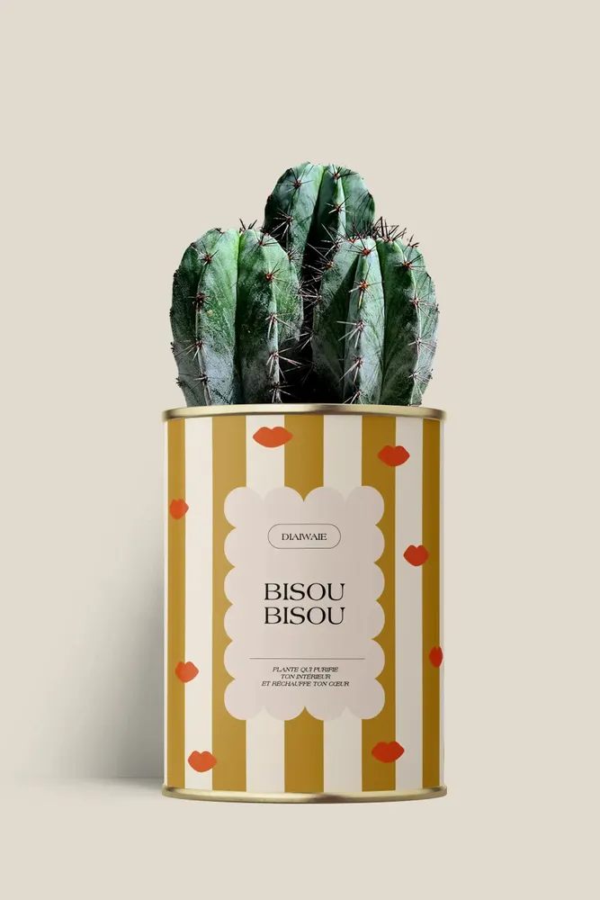 Cadeaux - Bisou bisou - Maxi Cactus - DIAIWAIE