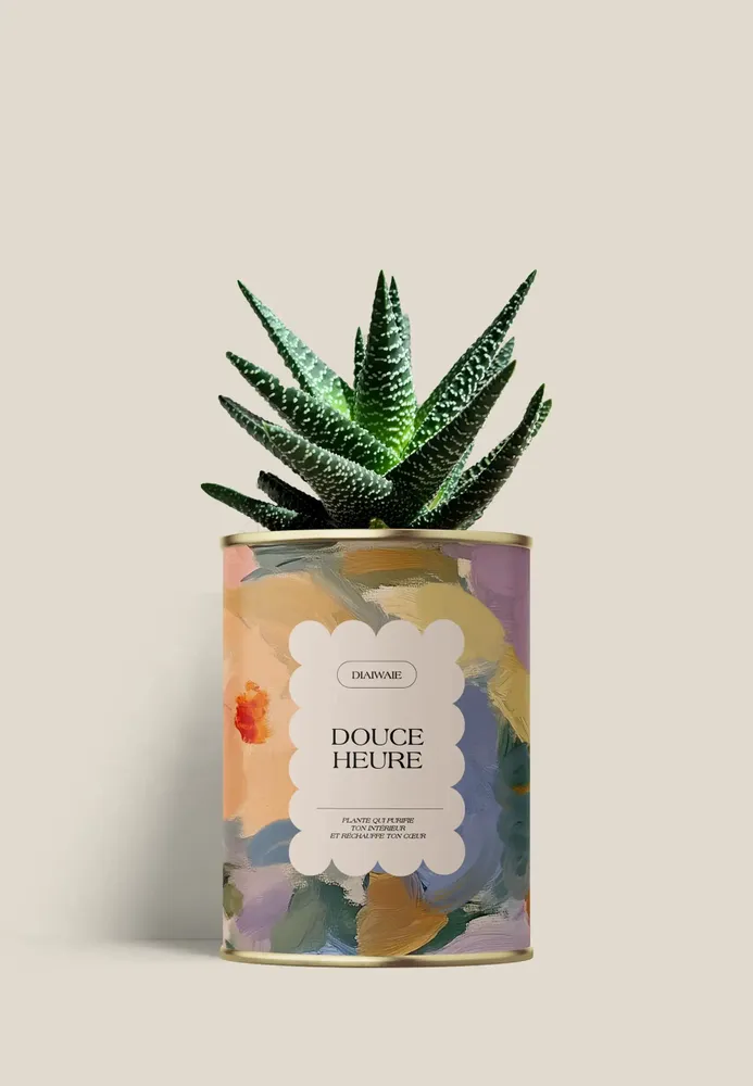 Cadeaux - Douce Heure - Mini Aloé - DIAIWAIE