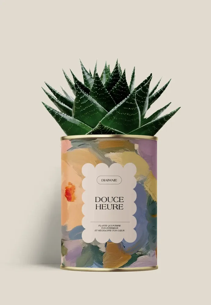 Cadeaux - Douce Heure - Maxi Aloé - DIAIWAIE