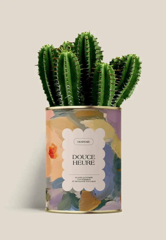 Gifts - Douce Heure - Maxi Cactus - DIAIWAIE