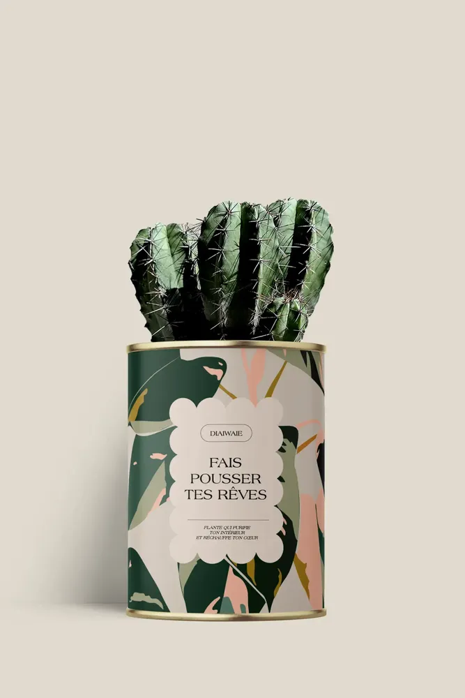 Gifts - Fais pousser tes rêves - Mini Cactus - DIAIWAIE