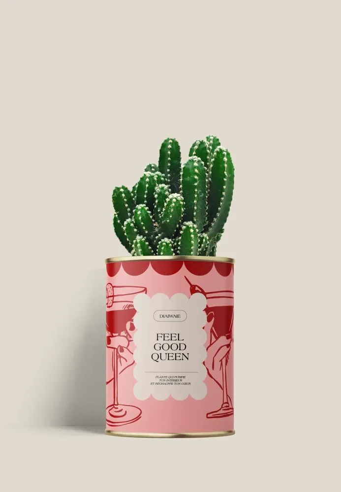 Gifts - FEEL GOOD QUEEN - Mini Cactus - DIAIWAIE