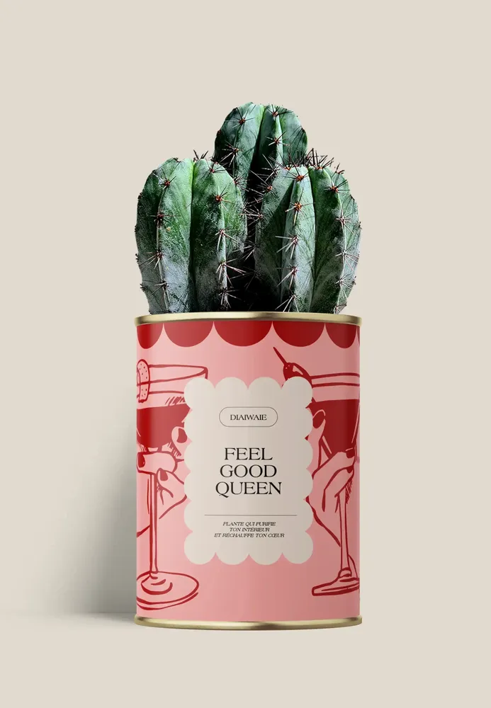 Gifts - FEEL GOOD QUEEN - Maxi Cactus - DIAIWAIE
