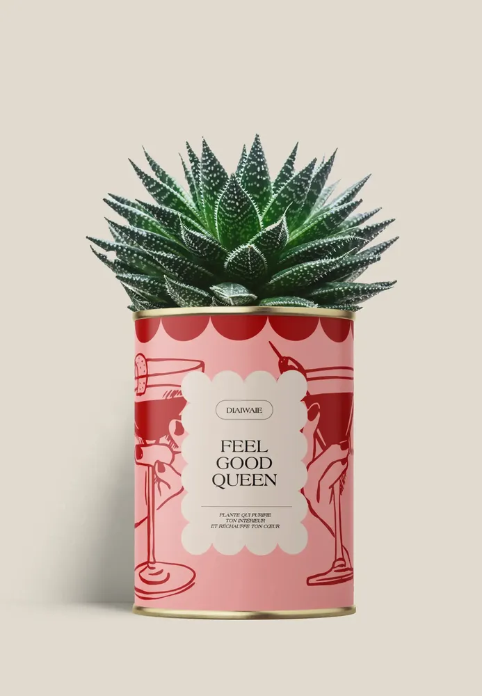 Gifts - FEEL GOOD QUEEN - Maxi Aloé - DIAIWAIE