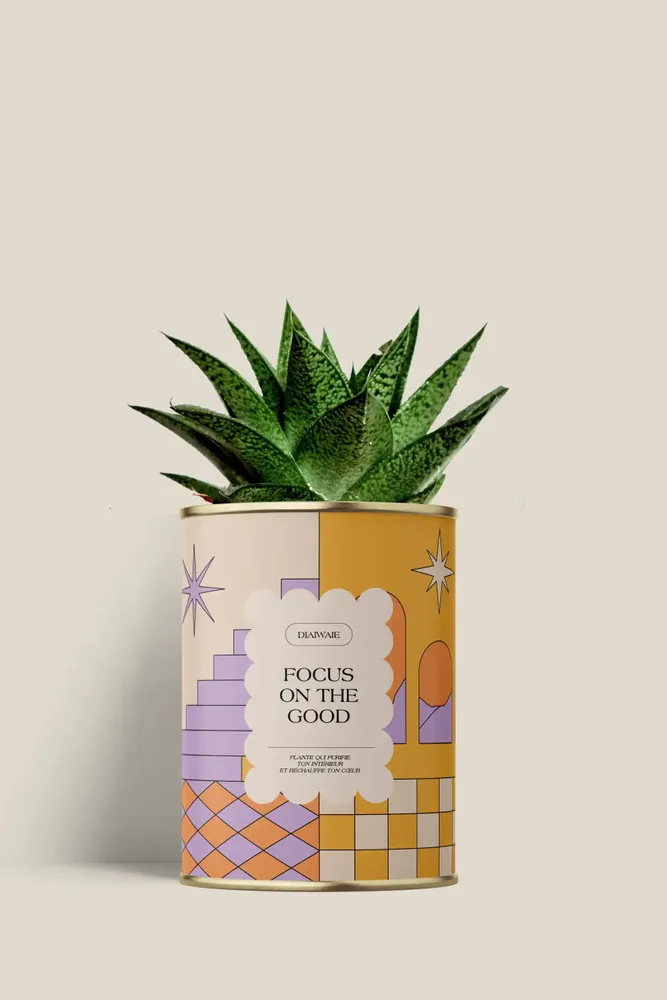 Gifts - Focus on the good - Mini Aloé - DIAIWAIE