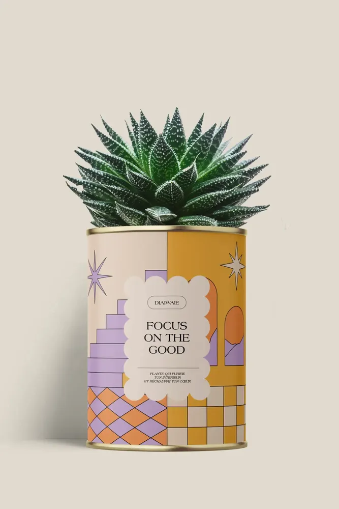 Gifts - Focus on the good - Maxi Aloé - DIAIWAIE