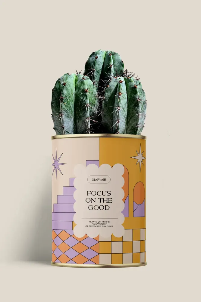 Gifts - Focus on the good - Maxi Cactus - DIAIWAIE