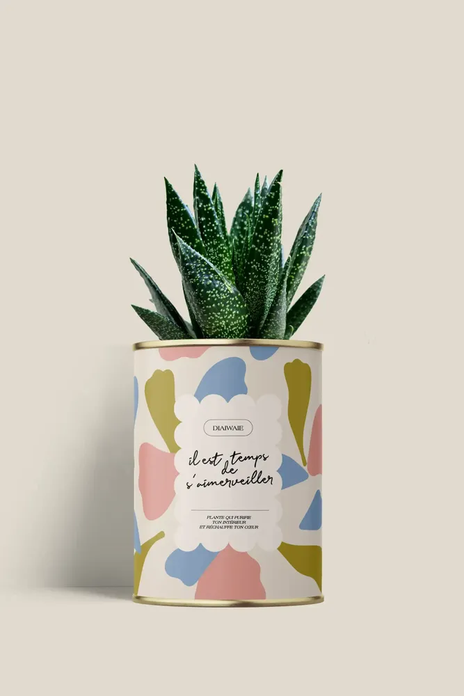 Gifts - Il est temps de s'aimerveiller - Mini Aloé - DIAIWAIE