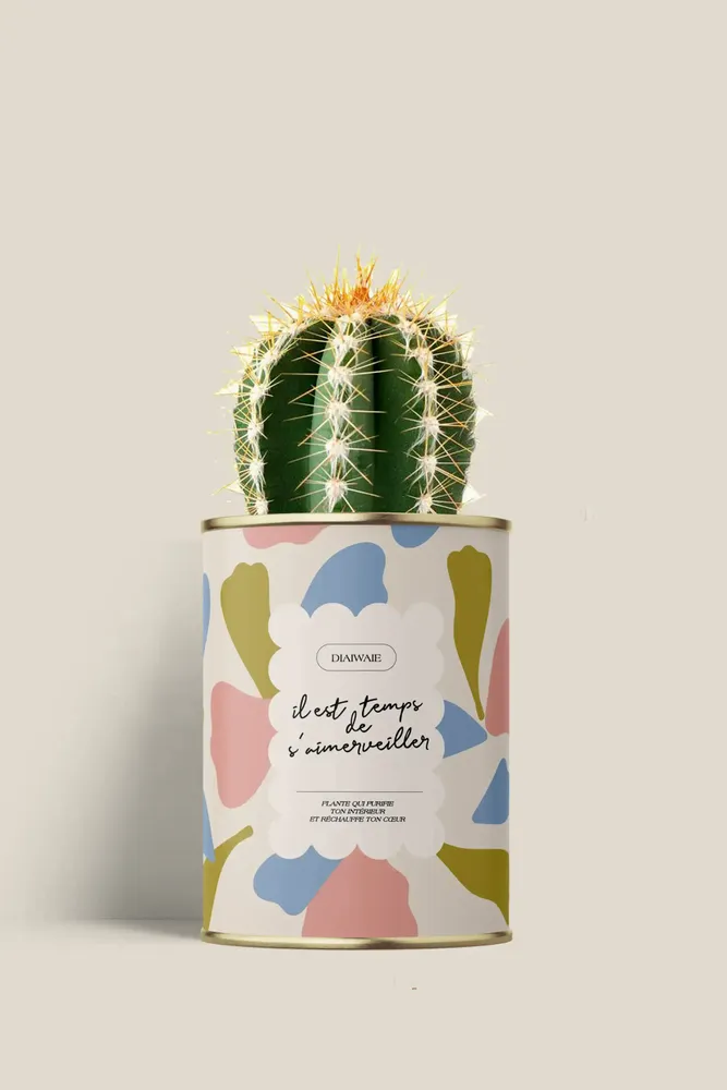 Gifts - Il est temps de s'aimerveiller - Mini Cactus - DIAIWAIE
