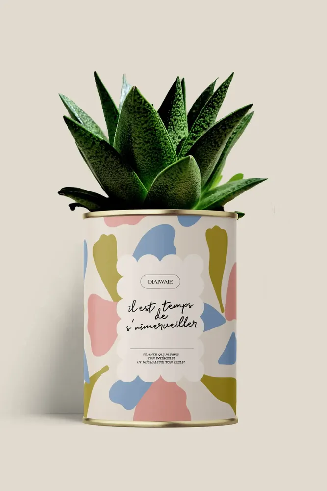 Gifts - Il est temps de s'aimerveiller - Maxi Aloé - DIAIWAIE