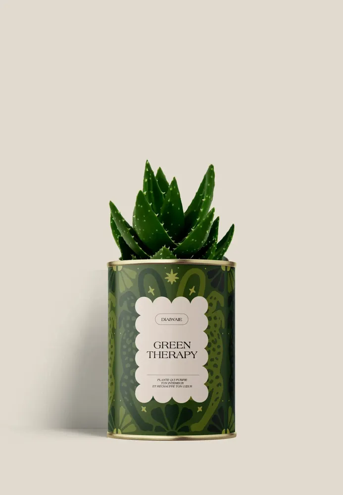 Gifts - GREEN THERAPY - Mini Aloé - DIAIWAIE