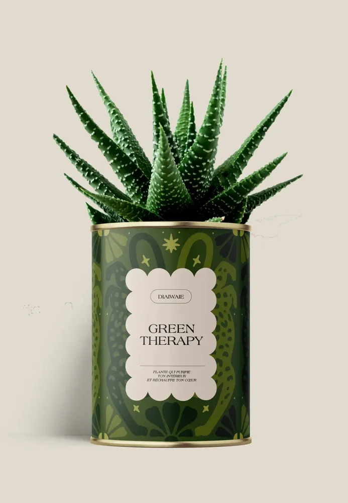 Gifts - GREEN THERAPY - Maxi Aloé - DIAIWAIE
