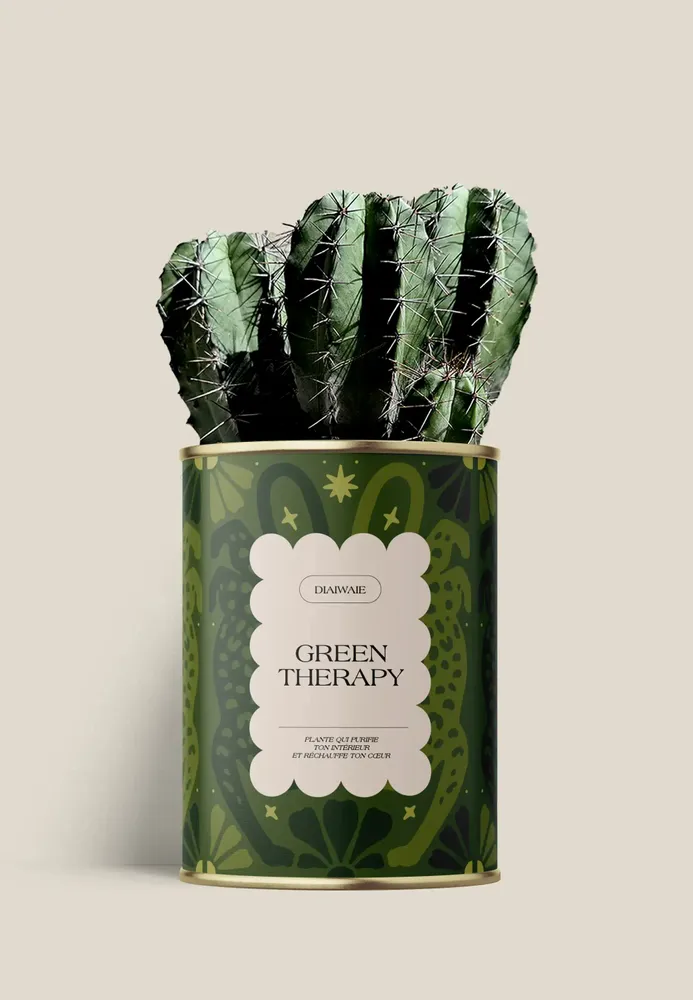 Gifts - GREEN THERAPY - Maxi Cactus - DIAIWAIE
