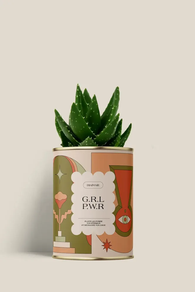 Gifts - G.R.L P.W.R - Mini Aloé - DIAIWAIE