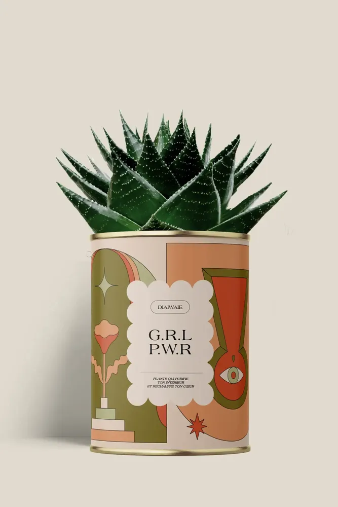 Gifts - G.R.L P.W.R - Maxi Aloé - DIAIWAIE