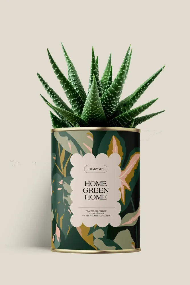 Cadeaux - Home Green Home - Maxi Aloé - DIAIWAIE