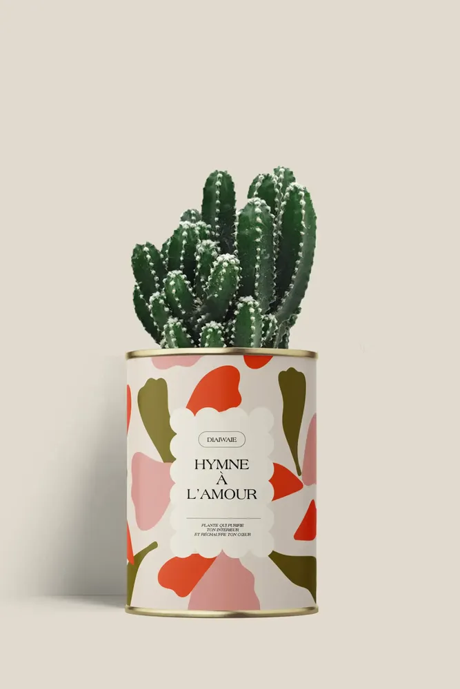 Cadeaux - Hymne à l'amour - Mini Cactus - DIAIWAIE