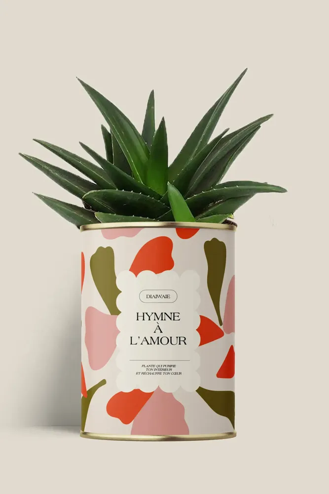 Gifts - Hymne à l'amour - Maxi Aloé - DIAIWAIE