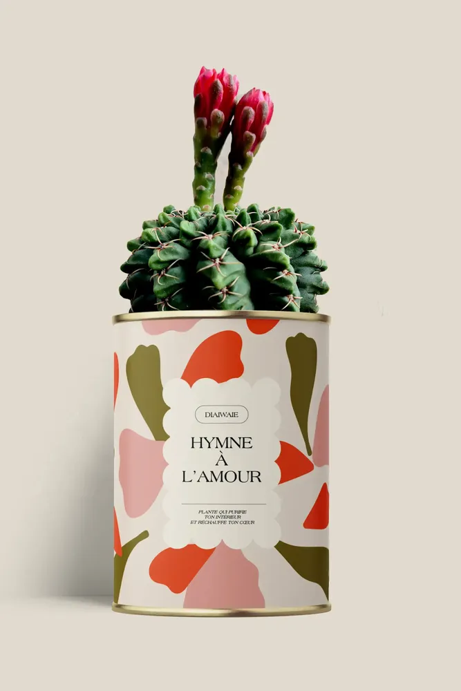 Gifts - Hymne à l'amour - Maxi Cactus - DIAIWAIE