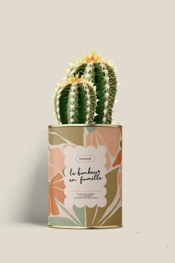Cadeaux - Le bonheur en famille - Mini Cactus - DIAIWAIE