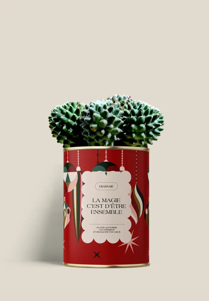 Cadeaux - LA MAGIE C'EST D'ÊTRE ENSEMBLE - Mini Cactus - DIAIWAIE