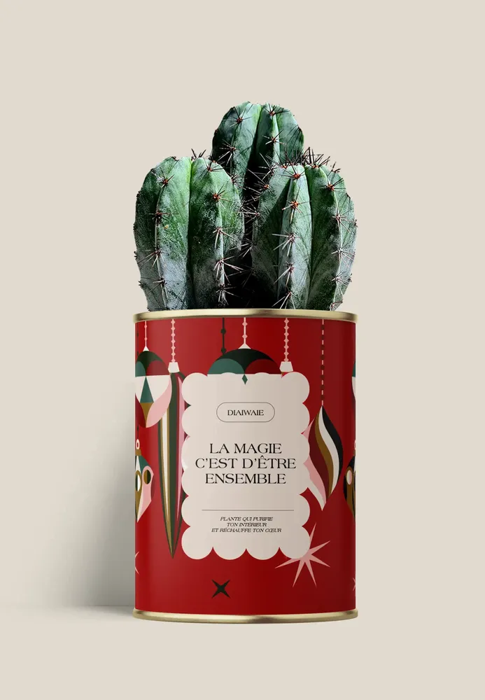 Gifts - LA MAGIE C'EST D'ÊTRE ENSEMBLE - Maxi Cactus - DIAIWAIE