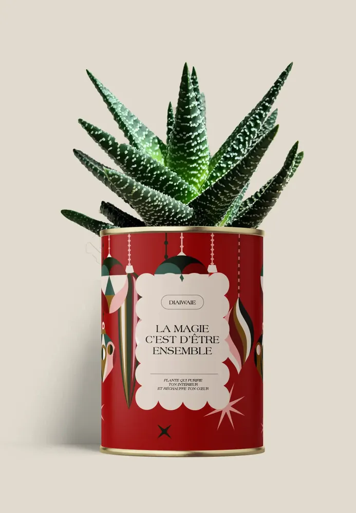 Cadeaux - LA MAGIE C'EST D'ÊTRE ENSEMBLE - Maxi Aloé - DIAIWAIE